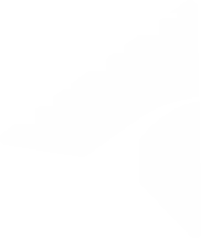shape lsc white